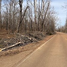 Tree-and-Limb-Cleanup-in-Taylor-MS 11